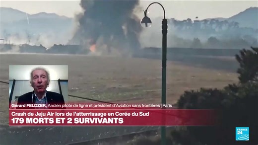 Corée du Sud : les premières causes du crash d'avion avancées