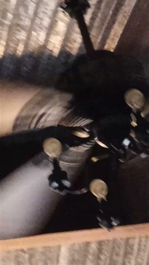 Hunter ceiling fan in living room