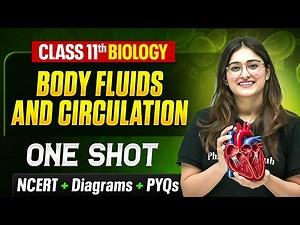 Body Fluids and Circulation Class 11 One Shot 🔥 | NCERT + Diagrams | Biology Chapter 18