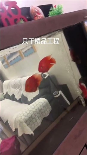 上滤盒改造真的效果杠杠滴，客户非常满意😀