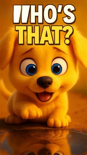 🐶Cute Puppy Pip Thinks His Reflection Is Another Pip 😲| Pip's Story #CutePuppy #FunnyDog #PipShorts