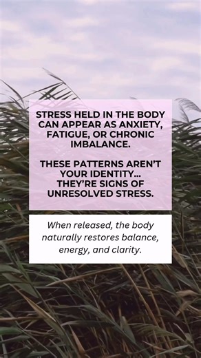 When the body is caught in patterns of dysregulation, it shows up in many ways—anxiety, depression, auto-immune flare-ups, chronic fatigue, hormonal imbalances, and more. These symptoms aren’t who you are. They’re signals that your body has been carrying unresolved stress for far too long. When those patterns are released, your body can return to balance. Energy rises, clarity returns, and you’re free to live the life you were created for—no longer held back by cycles of stress and symptom manag