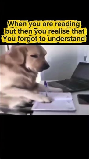 Ai study tools for students