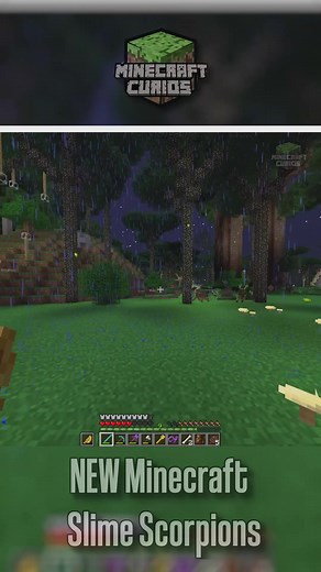5K views · 82 reactions | Minecraft Curios on Reels | Facebook