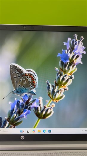 퐇퐏 퐏퐑퐎퐁퐎퐎퐊  ↪↪퐇퐏 퐏퐑퐎퐁퐎퐎퐊 450 G9 Brand: HP Product Line: ProBook...