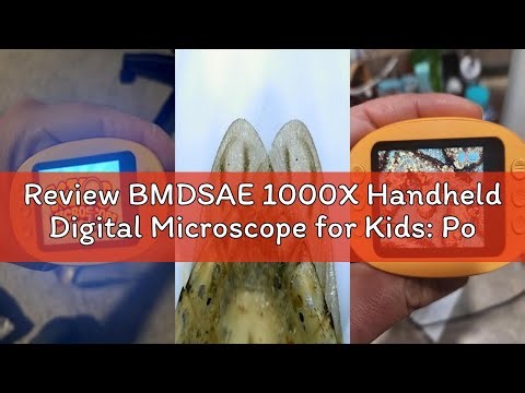 Review BMDSAE 1000X Handheld Digital Microscope for Kids: Pocket Microscope with 2.0" IPS Screen - S