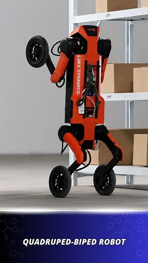 Quadruped robot evolves to stand and walk | Startup Selfie