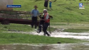233K views · 631 reactions | Dozens of sheep were rescued after being swept away in high water in Lancaster County this morning. More on the story: https://bit.ly/2MMffgg | WGAL News Channel 8 Susquehanna Valley, Pa. | Facebook