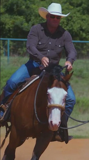 Quarter Horse Documentary Teaser | Breed and Passion: I Owe My Life to Horses