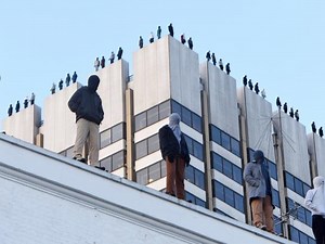 CALM: Project 84 • Ads of the World™ | Part of The Clio Network