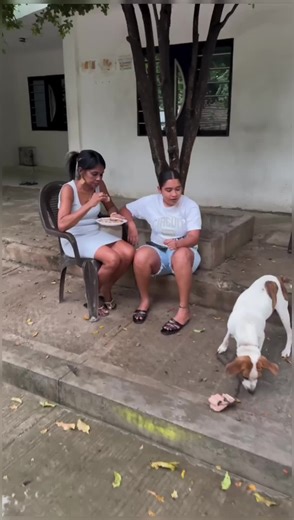 Hilarious Family Prank Moments That Everyone Will Love