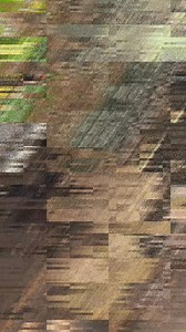 40K views · 448 reactions | Clean face cut it is important key to fell a tree. Rooten dead mango tree felling. #felling #chainsaw | Yulianto | Facebook