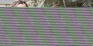 Ticks | Brown Dog Ticks | Bush Ticks | Paralysis Ticks | Cats | Dogs | RSPCA Queensland