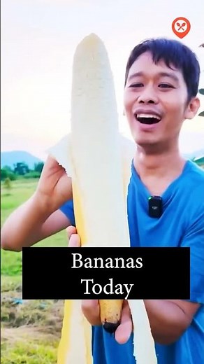 Fruit Group – One of the Five Food Groups #fruit