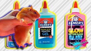 ¡Hola! En esta ocasión mis hámsters eligen nuestro Slime. Este es un reto o challenge con slime muy popular en el que las mascotas eligen los ingredientes, pero en esta ocasión lo vamos a hacer con Galleta y Miel, mis hámsters chiquitos que les mostré nacieron hace tiempo. Quería platicarles que de los 8 ratoncitos que tuvieron Sam y Dean, nos quedamos con 4 ( 3 hembras y un macho) los demás fueron dados en adopción y están con buenas familias :) | Supermanualidades