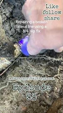 Learn how to repair a broken sprinkler line. #diy #viralvideo #sprinklersystem #garden