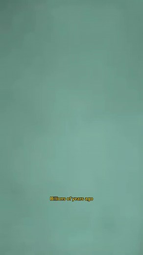 218K views · 4.4K reactions | The Birth of Our Solar System:...