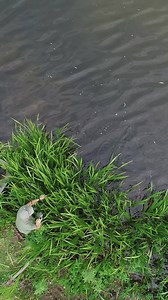 Netted💪 what's been your most difficult catch? | Angling Direct