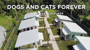 Dogs and Cats Forever is proud to announce that the construction of our senior dog buildings and cottages is approaching completion! These premises will serve our senior dogs in a modern and up-to-date design well into the future. This is a project that we undertook several years ago with the vision that our shelter would eventually need additional space to continue providing care and compassion to animals in need. To see it finally come to fruition is an exciting time for everyone at Dogs and C