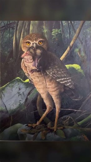 The Greatest Owl in History