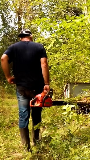 218K views · 1.8K reactions | #revival #restored #satisfying #repair #cars #asmr #carrescue #classics #recovery #engine #rebuild #restore #rare #forgotten #oddlysatisfying | Restored | Facebook