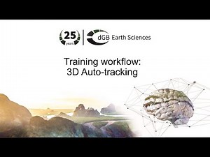 Training workflow: General Interpretation - 3D Auto-tracking