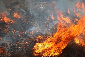 Fire In Healdsburg Contained At 13 Acres