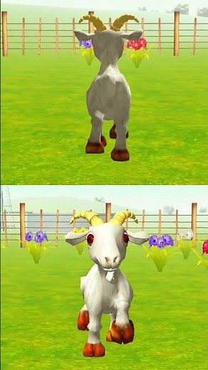 El Pollito Pio 3D 🐔 Canciones para Niños | Música Infantil de la Granja de Zenón