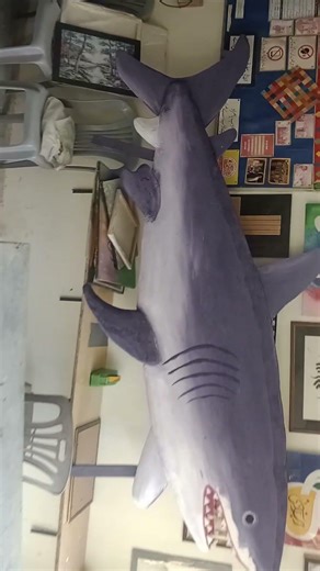 3D Model of Shark | 10 feet long shark found