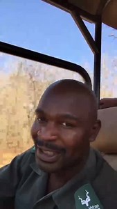 9.5K views · 27 reactions | Sydney Mkosi, a multiple tour guide winner giving us a useful tip on how to spot loads of wildlife. #GoLimpopo | Limpopo Tourism Agency | Facebook