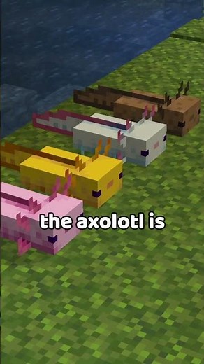 Minecraft's Rarest Mob Variants...