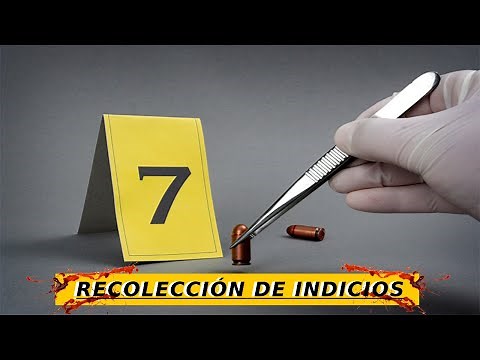 Learn how to properly collect evidence | Criminalistics