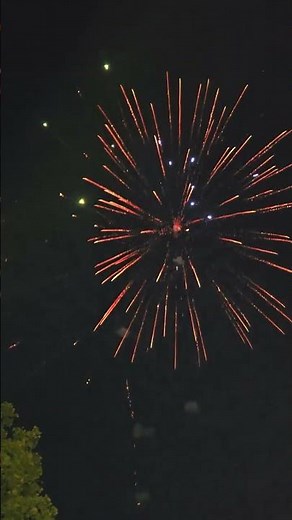 Kung Flu 36 shot Big Bore Firework