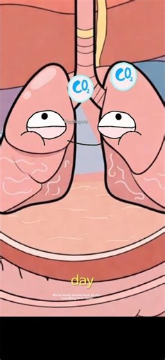 How your body reacts to Night Scrolling#animation #funny #body