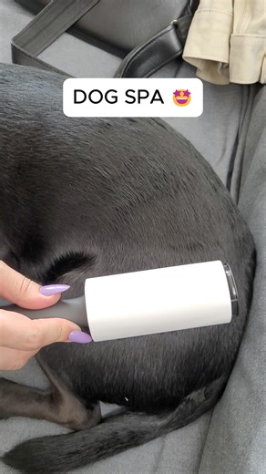 110K views · 140 reactions | Your puppy will love this 朗 | Crafty Panda | Facebook