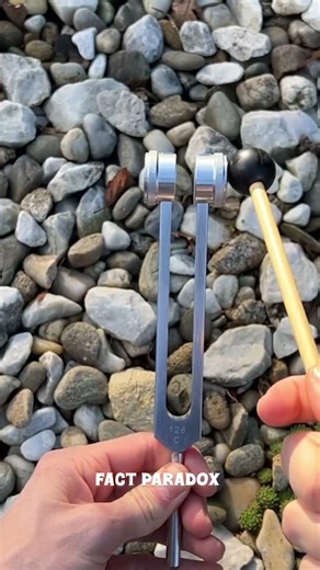 Tuning Fork Ka Asli Raaz 🤯 | Is Chhote Se Tool Mein Chhupi Hai Badi Science!