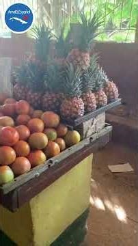 🇨🇺 Come with me to visit a real Cuban market and learn everyday Spanish vocabulary 👀