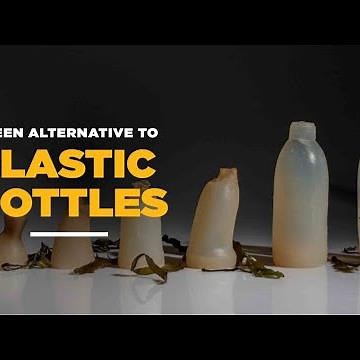 Indiatimes - These Biodegradable Algae Water Bottles Are A Green Alternative To Plastic Bottles