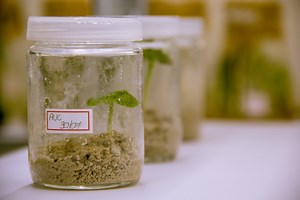 GALY – an Unreasonable company