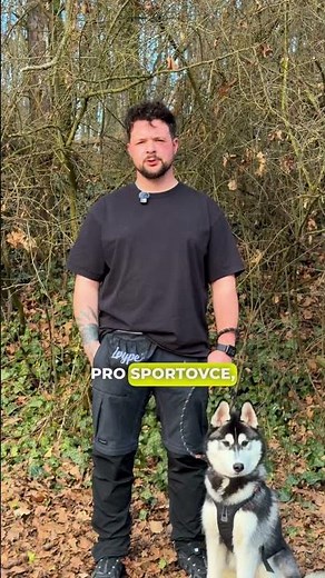 Jak vybrat postroj pro psa