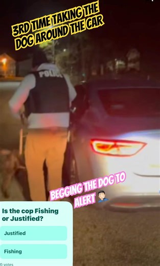 Cop takes K9 around the car 3 times&all the sudden the dog drops a subliminal message to his handler