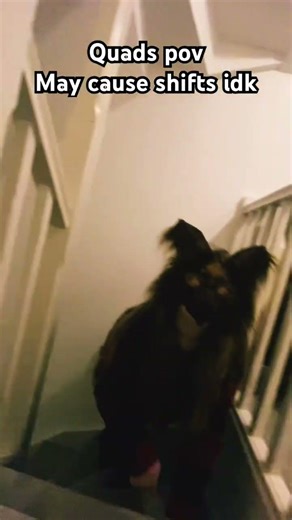 Quads pov💚✨ #therian #quadrobics #pov