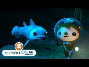 바다 탐험대 옥토넛 - 실러캔스 - 모음집