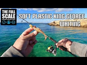 Soft Plastic King George Whiting | The Full Scale