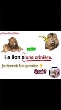 Le complément d'objet Direct C.O.D 5ap