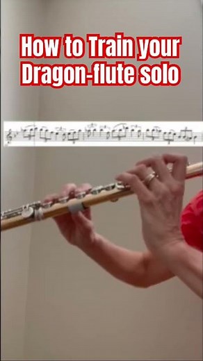 How To Train Your Dragon-flute solo