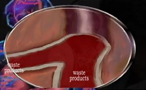 Sorry, we have encountered a problem. - Alexander Street, a ProQuest Company