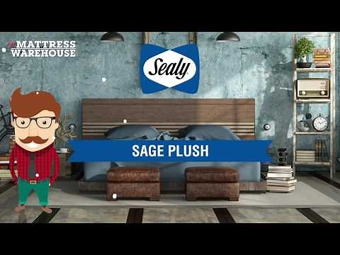 Sealy Sage Plush