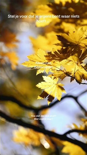 Dag 2 | 7 dagen rust reset