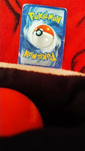 floatzel evolve from buizel